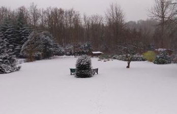 Hochwald Balkon - Foto 24