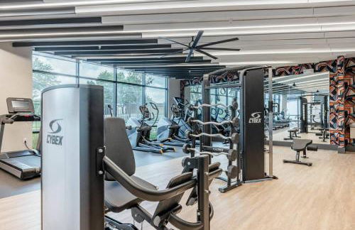 Central Austin 1BR w Pool, Gym & Pet-Friendly - Foto 19