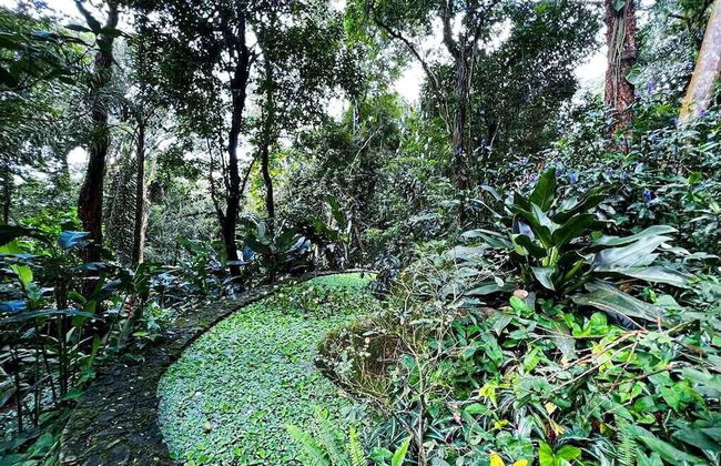 Loft Aconchegante em Meio à Natureza - Foto 40