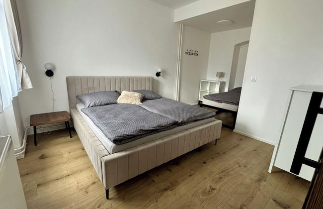 Family Apartments Černice - Foto 25