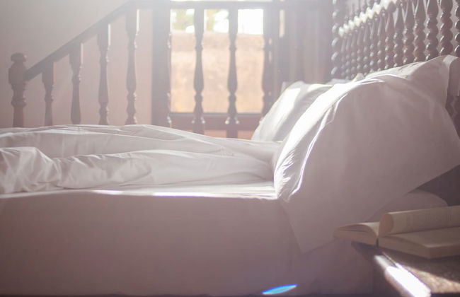 Finca Can Beneït - Photo 4