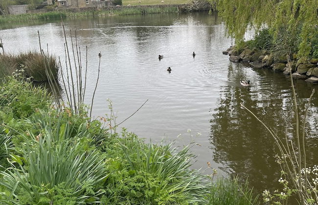 Beautiful 2-bed Cottage in Grewelthorpe , Masham - Foto 14