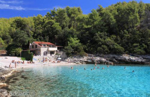 Apartman Dario - Foto 43