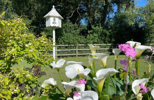 The Barn cottage with hot tub overlooking the lake - Foto 23