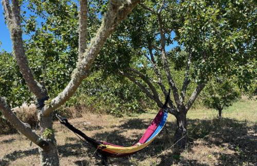 Holiday Home Schönes Landhaus mit Tauchbecken- Strand 3km by Interhome - Foto 6