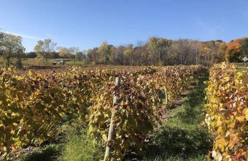 The Sunflower - Hot Tub Hideaway on 13 Wooded Acres - Fire Pit - Lake View - Near Keuka & Seneca Lake - Pet-Friendly - Foto 20