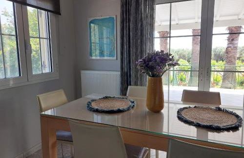 The Three Palms Samos Seaside Villa - Foto 21