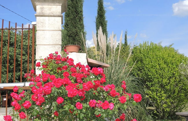 Mas du Grand Vallen - Foto 28