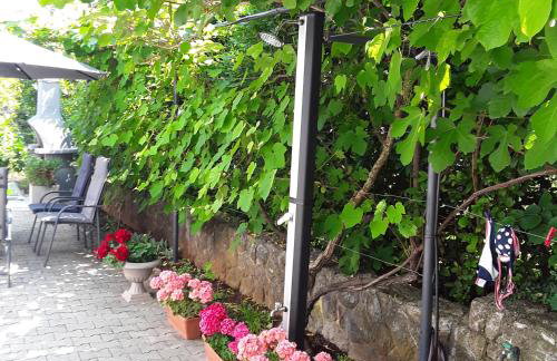 Apartmani Irina - Foto 45