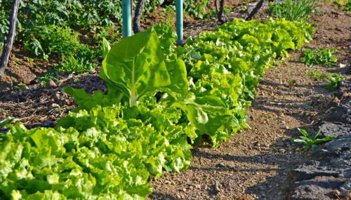 Casa Victor - Foto 3