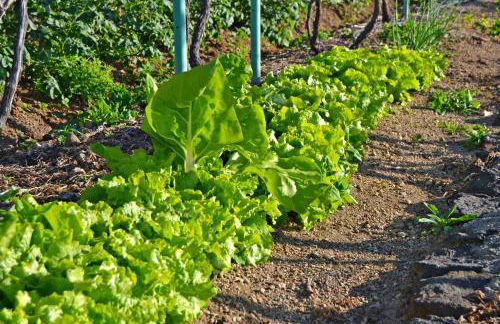 Casa Victor - Foto 3