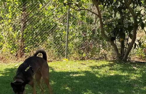 Les Valletes - Foto 67