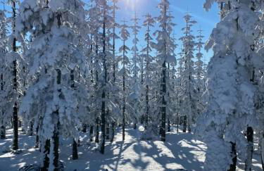 17 AM BERG - Foto 70