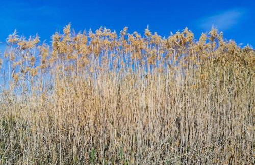 Lovely Oasis Or Ange Exclusive 100mt to the sea - Foto 36