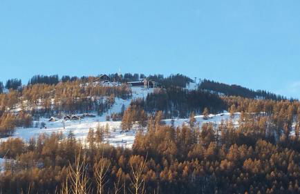 FORSYTHIA LE MAS DU PEYRON - Foto 32