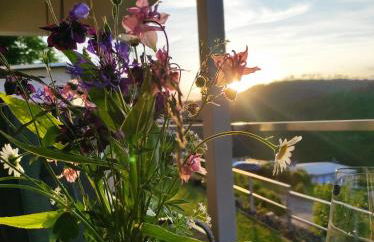 Stausee- WaldLoft - Foto 11