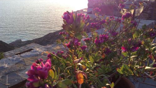 Olympos Archipelagos - Foto 5, Garden