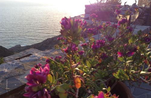 Olympos Archipelagos - Foto 5