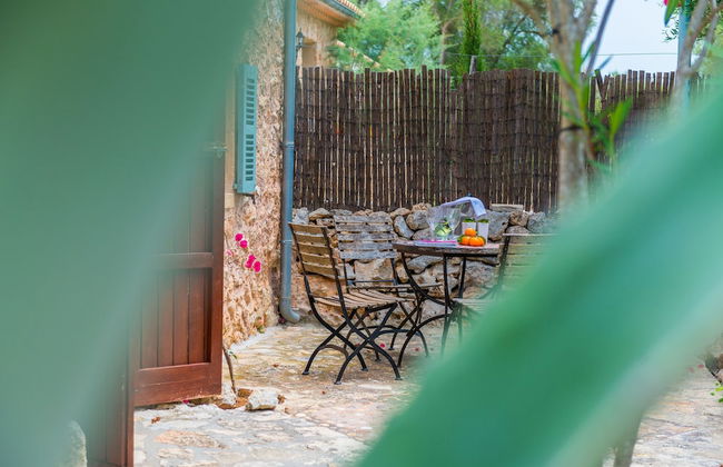 Can Pina - Eco Pina - - Photo 22