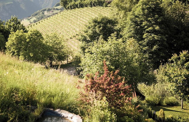 Presulis Hideaway Apartments & Restaurant - Photo 56