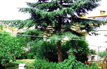 House Silvana - apartment with garden view - Photo 26