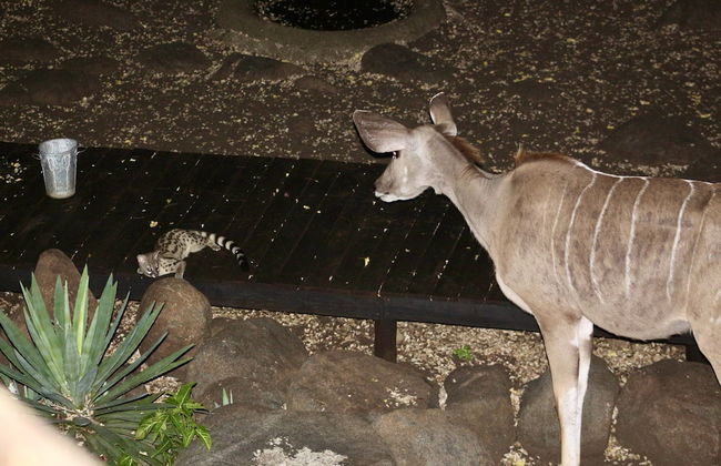 Kruger Kumba - Lahlekile Nathi - Photo 60