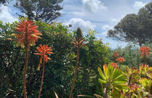 Giulianahouse - Foto 34