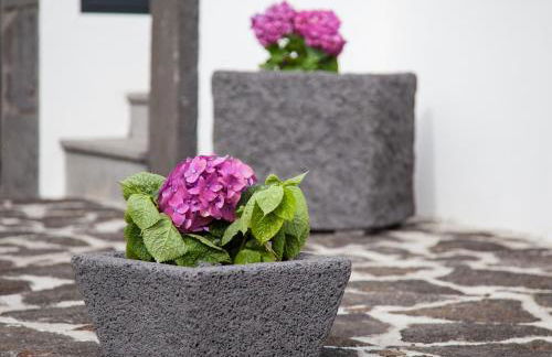 A Casa da Silva - Photo 16