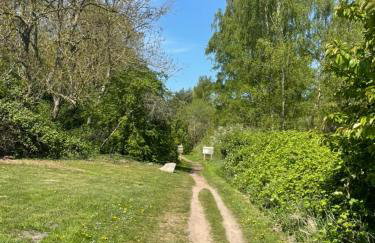 Lotsenhaus Barhöft - Foto 23