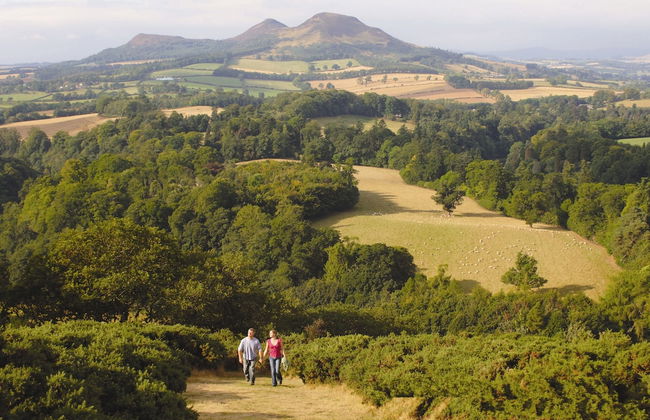 Cringletie House Hotel - Foto 67