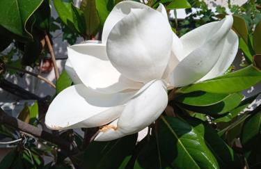 Pontinos Villa - Photo 9