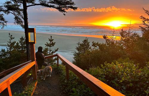 Starfish Point - Foto 25