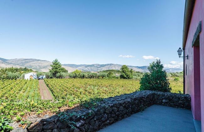 Terrazze dell'Etna - Rooms & Apartments - Foto 46