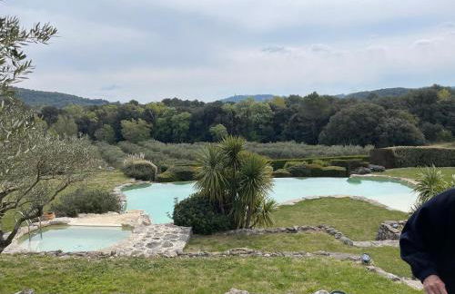 Mas, Padel privé, tennis privé, piscine 22m , Alpilles Provence - Foto 2