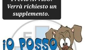 La Beccaccia - Foto 2