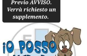 La Beccaccia - Photo 2