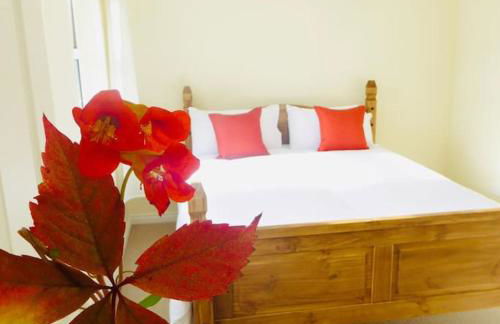 Springfields - Foto 14