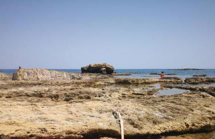 Alla Corte di Dionisio - Foto 50