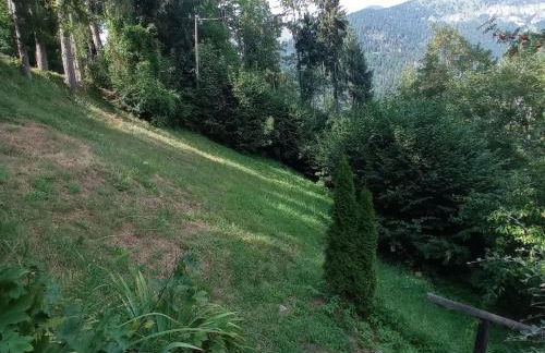 Apartment Annas Haus im Dolomiten-Nationalpark by Interhome - Foto 11