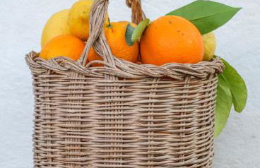 La Umbría de la Ribera - Foto 18