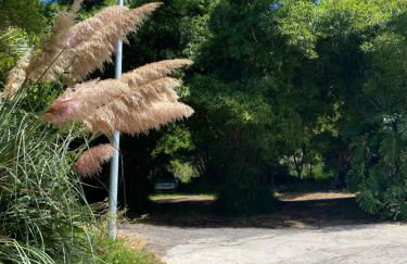 Taburiente - Foto 61