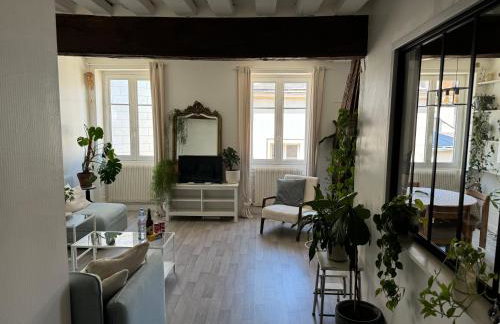 Appartement central - ORLEANS - Foto 2