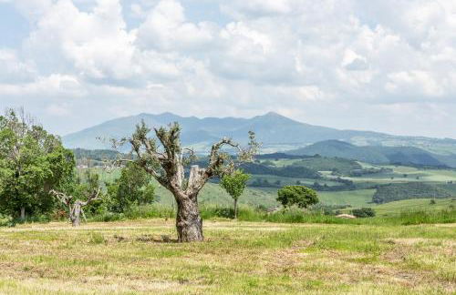 Dimora Schioppo - Irpinia - Foto 40