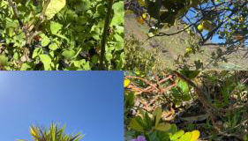 Las Medinas Apartamentos - Foto 3