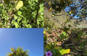 Las Medinas Apartamentos - Foto 3