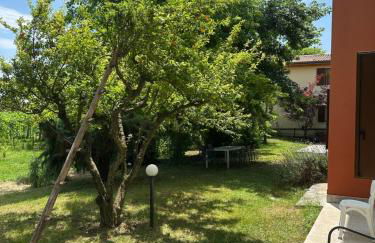 Agriturismo Fioravante di Fioravante Antonio - Foto 30