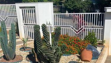 Chalé na Montanha em Lindoia - Foto 5, Garden, Garden view