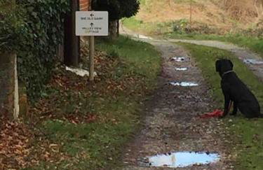 The Old Dairy, Valley Farm, Middleton - Foto 12