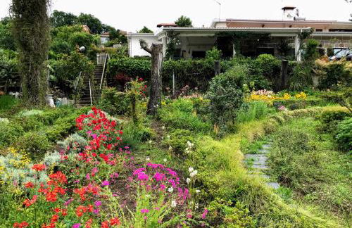 Casa do Pombal - Photo 6