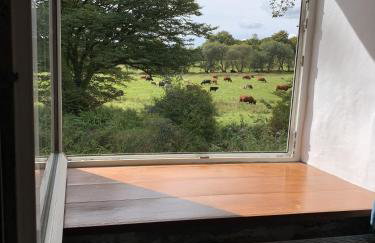 Delightful Dartmoor Apartment - Foto 16